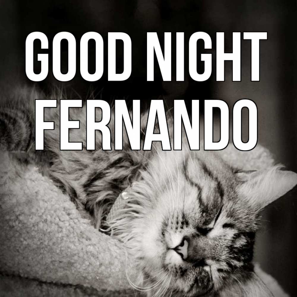 Greetings card с именем, Fernando Good night котярик пушистый Greetings with text for free download 