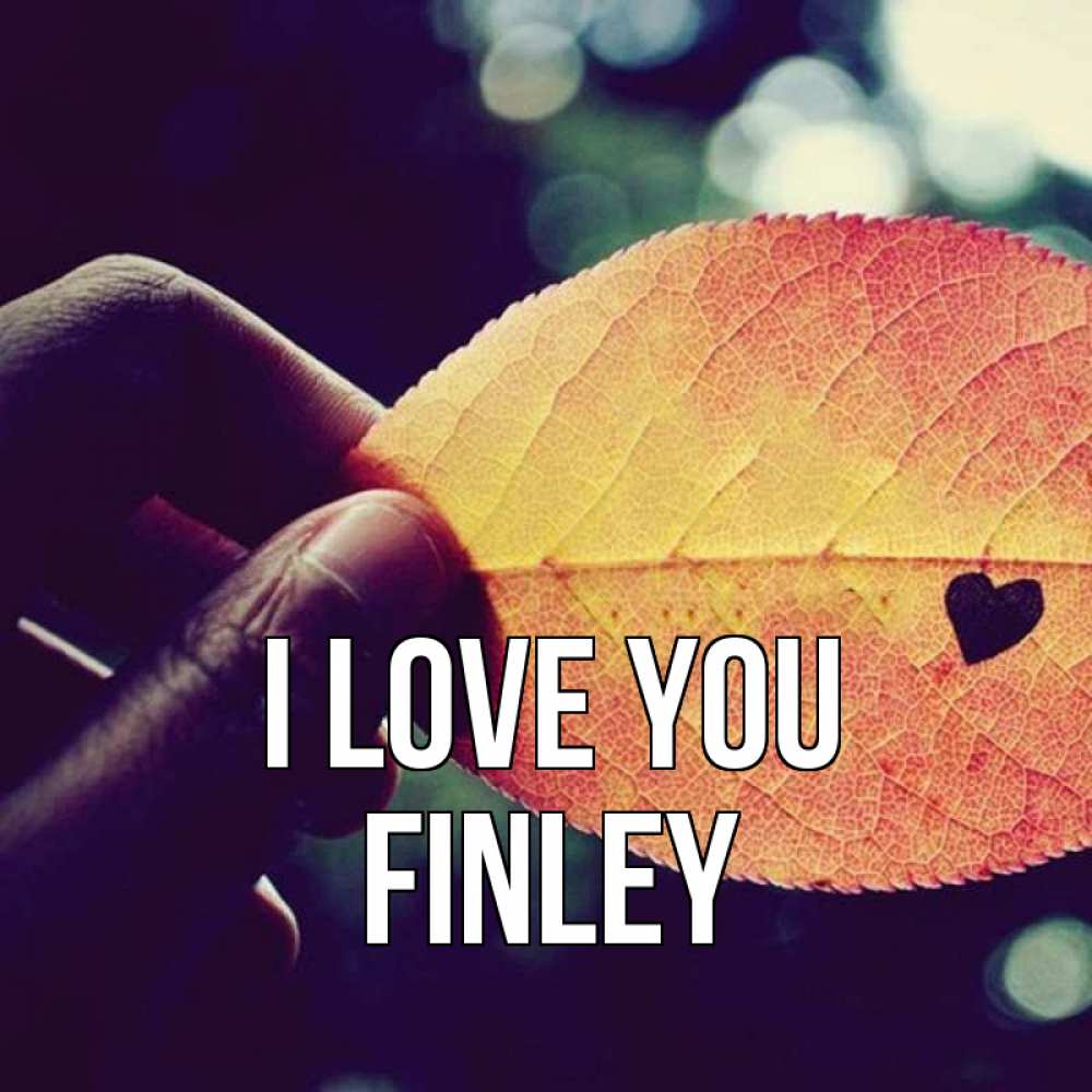 Greetings card с именем, Finley I love you держу лист Greetings with text for free download 