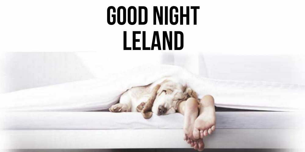 Greetings card с именем, Leland Good night кровать с собакой пожелание сладких снов и спокойной ночи Greetings with text for free download 