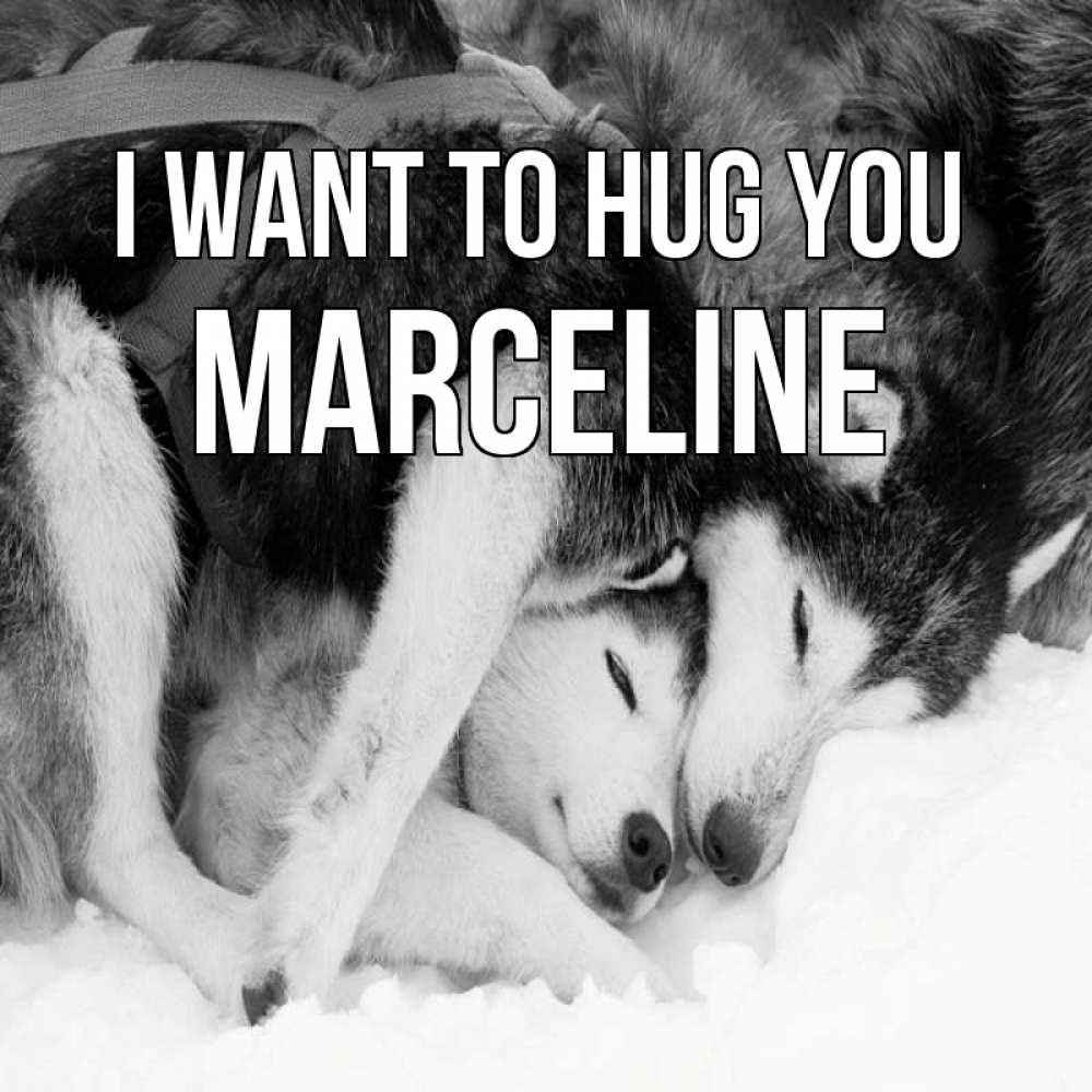 Greetings card с именем, Marceline I want to hug you собачки в упряжке Greetings with text for free download 