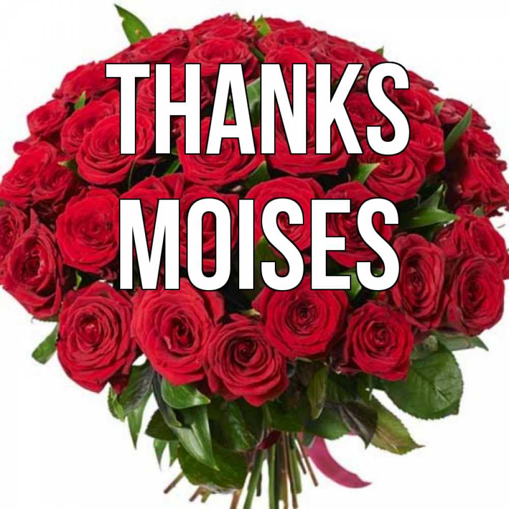 Greetings card с именем, Moises Thanks букет красных роз Greetings with text for free download 