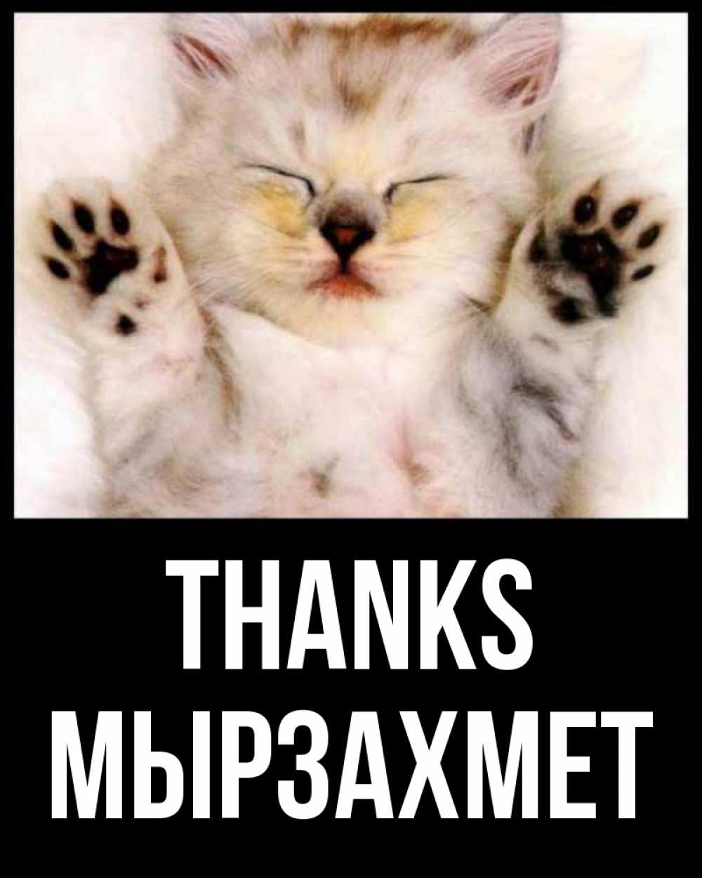 Greetings card с именем, МЫРЗАХМЕТ Thanks маленький котенок Greetings with text for free download 