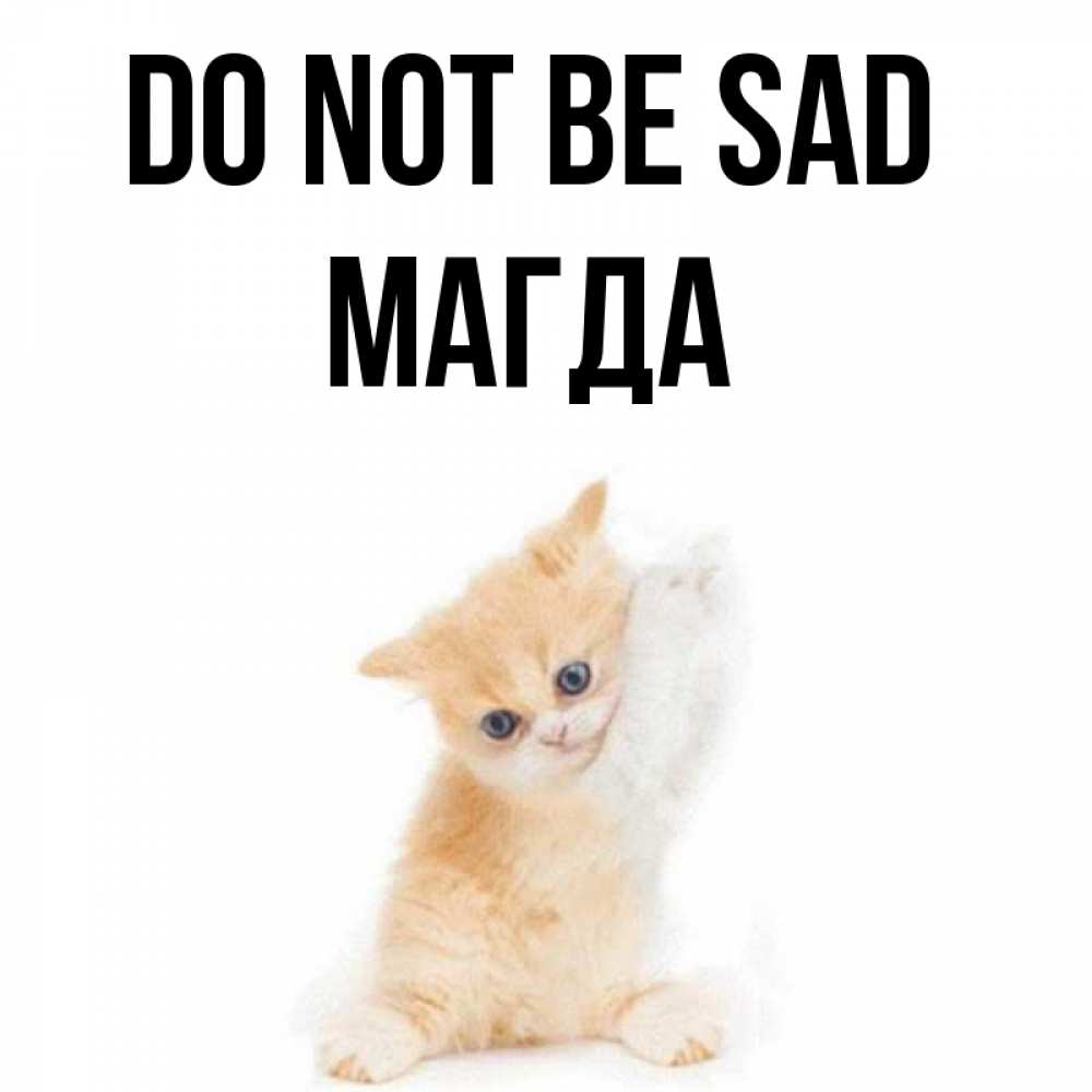 Greetings card с именем, Магда Do not be sad просящий кот Greetings with text for free download 