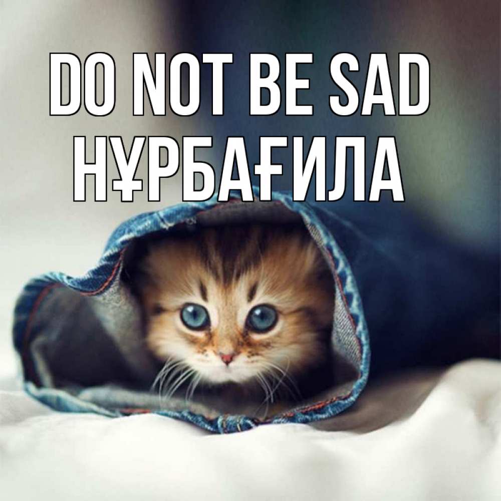 Greetings card с именем, НҰРБАҒИЛА Do not be sad рыжик котик Greetings with text for free download 