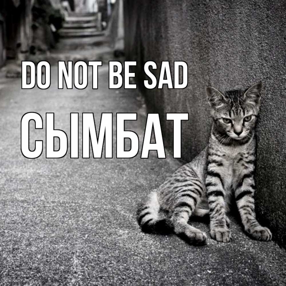 Greetings card с именем, СЫМБАТ Do not be sad скучающий котик Greetings with text for free download 