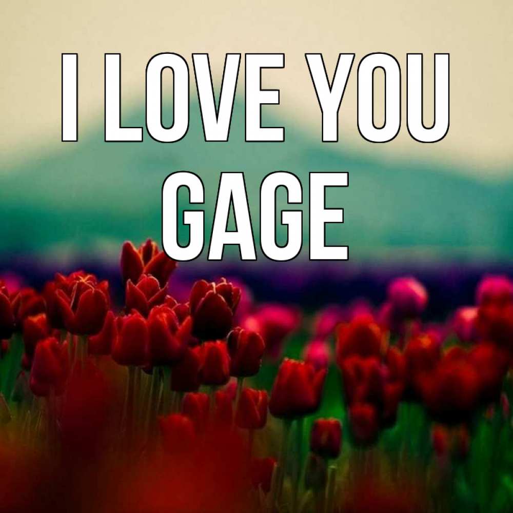 Greetings card с именем, Gage I love you тюльпаны 4 Greetings with text for free download 