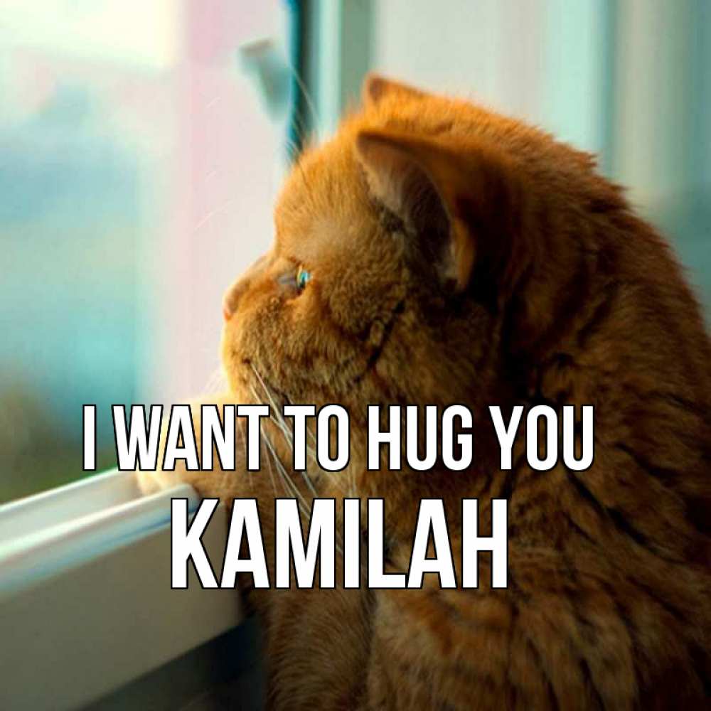 Greetings card с именем, Kamilah I want to hug you большой огромный рыжий котяра Greetings with text for free download 