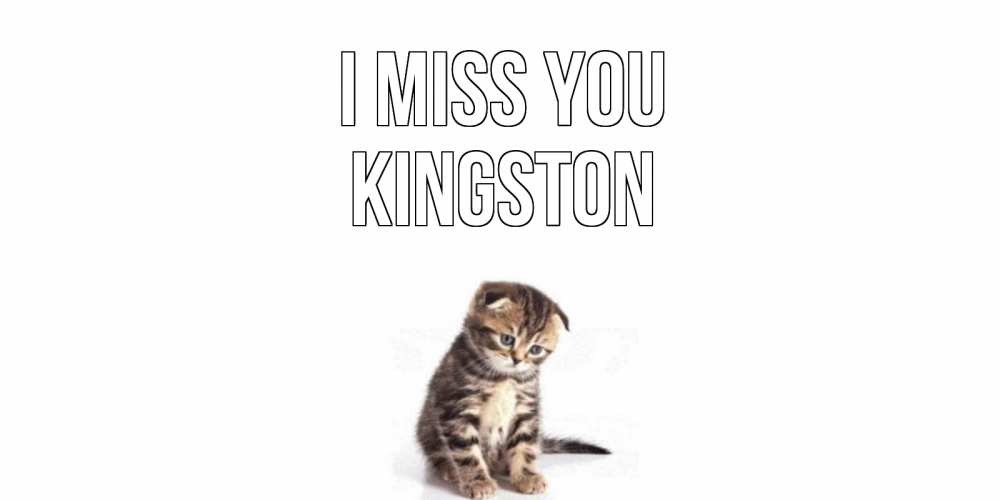 Greetings card с именем, Kingston I miss you кот Greetings with text for free download 