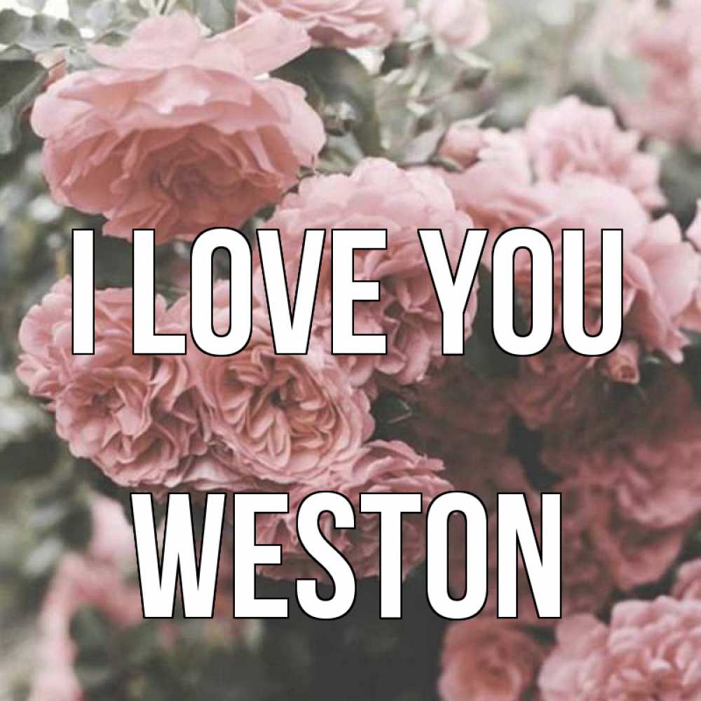 Greetings card с именем, Weston I love you розы 3 Greetings with text for free download 