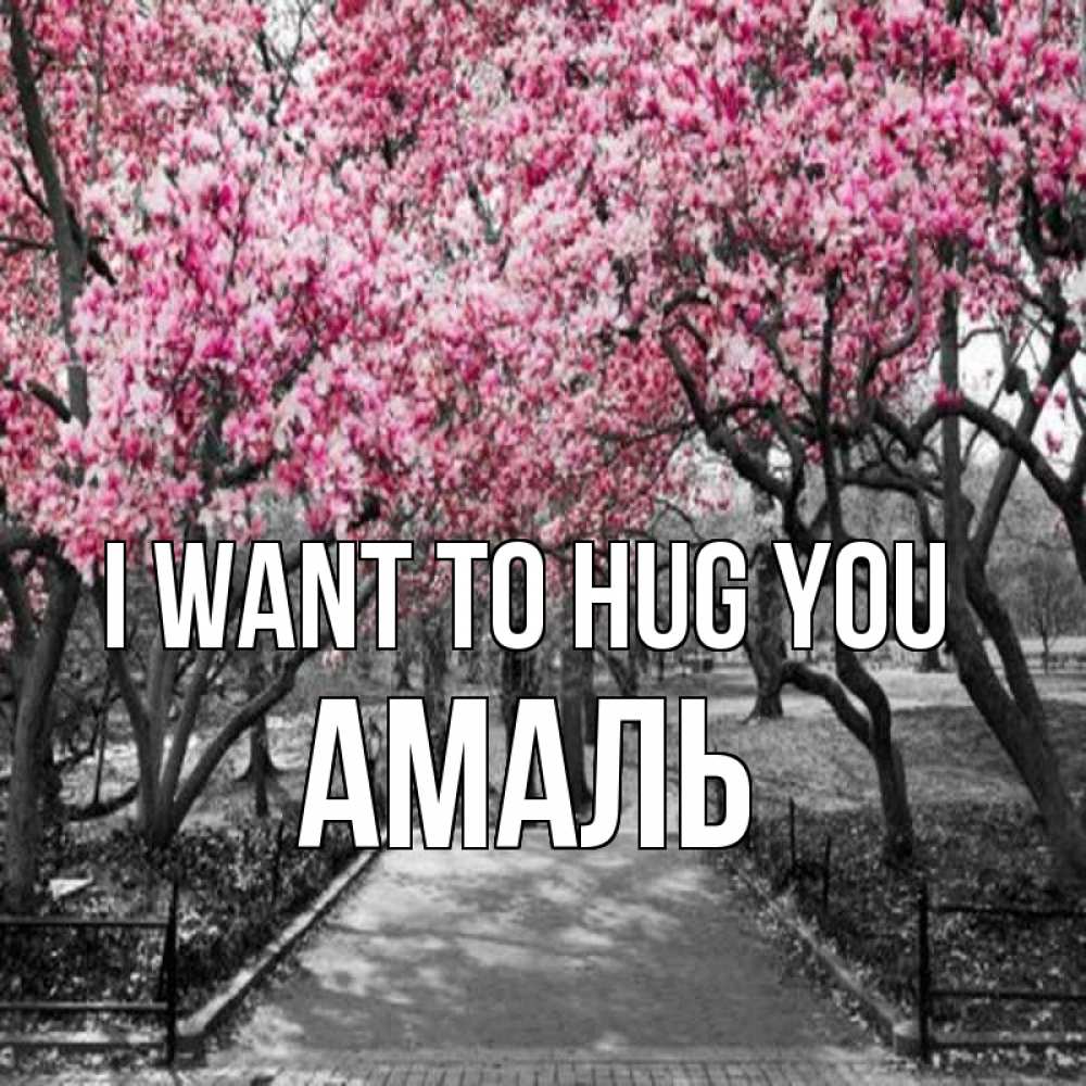 Greetings card с именем, Амаль I want to hug you обработанное фото Greetings with text for free download 