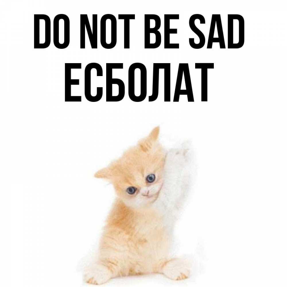 Greetings card с именем, Есболат Do not be sad просящий кот Greetings with text for free download 