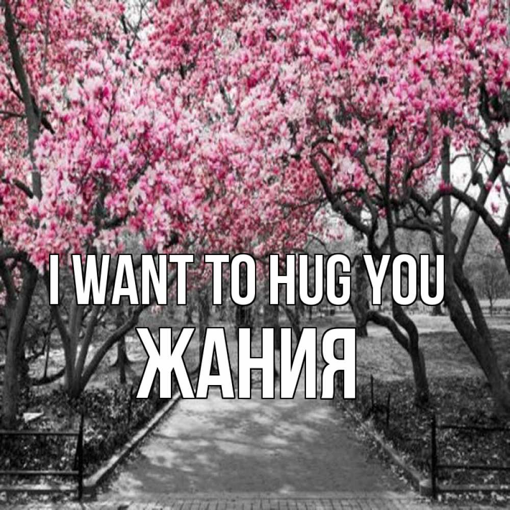 Greetings card с именем, ЖАНИЯ I want to hug you обработанное фото Greetings with text for free download 