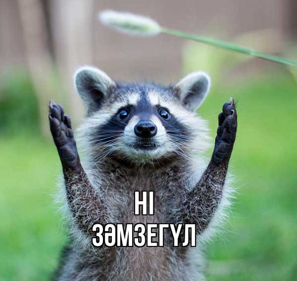 Greetings card с именем, ЗӘМЗЕГҮЛ Hi животные Greetings with text for free download 