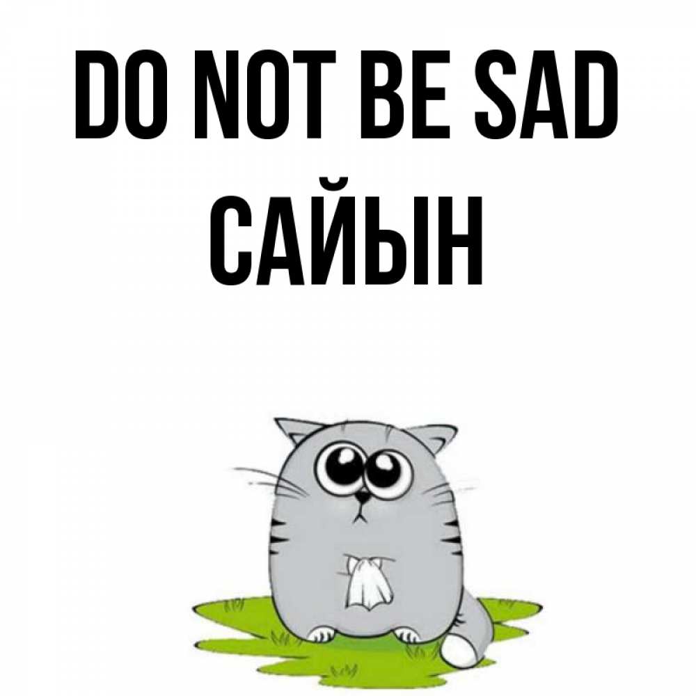 Greetings card с именем, САЙЫН Do not be sad грустный котяра Greetings with text for free download 
