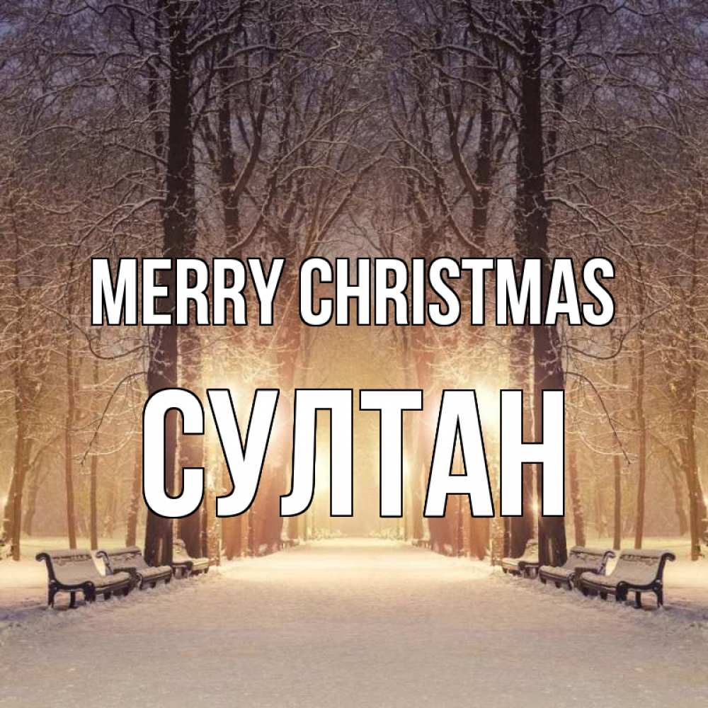 Greetings card с именем, Султан Merry Christmas зима, парк, фонарь, лес Greetings with text for free download 