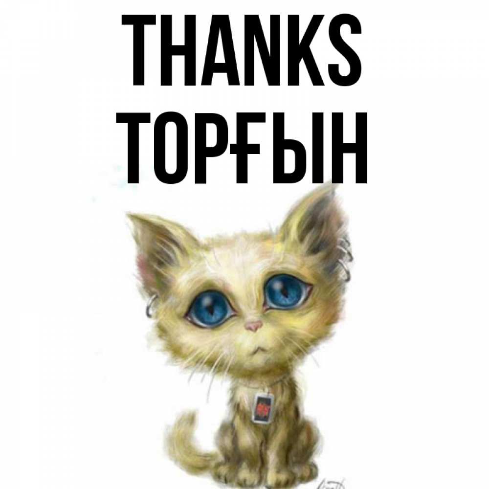 Greetings card с именем, ТОРҒЫН Thanks рисованный кот благодарит вас Greetings with text for free download 
