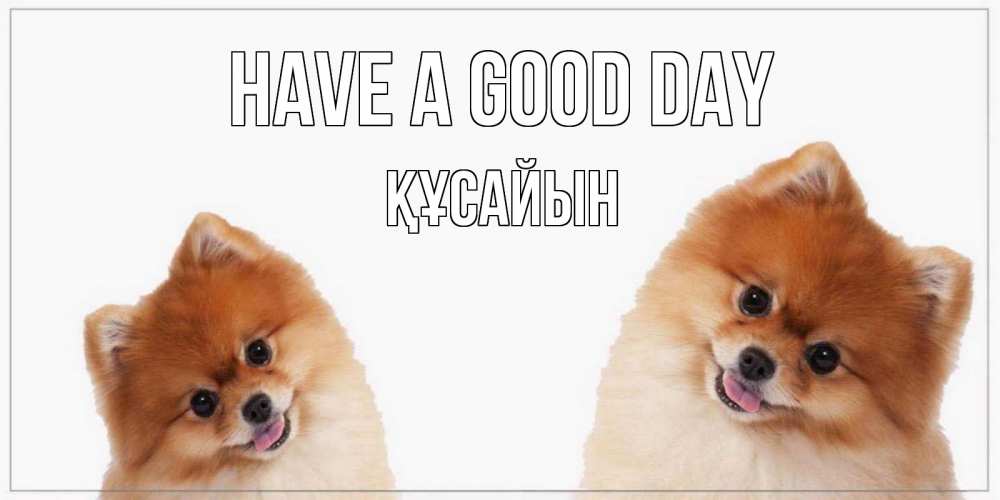 Greetings card с именем, ҚҰСАЙЫН Have a good day собачки желают прекрасного дня Greetings with text for free download 