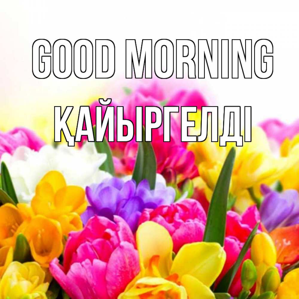 Greetings card с именем, Қайыргелді Good morning создать открытку со свое подписью Greetings with text for free download 