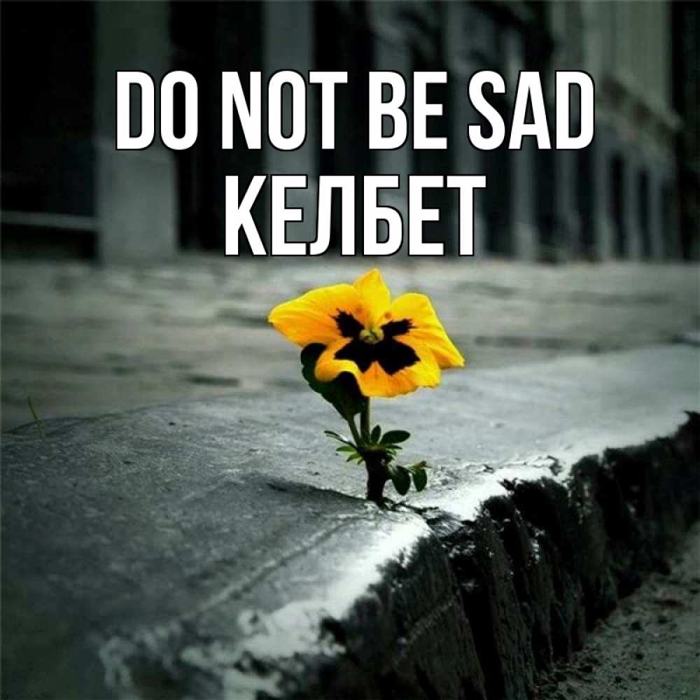Greetings card с именем, КЕЛБЕТ Do not be sad не сдавайся Greetings with text for free download 