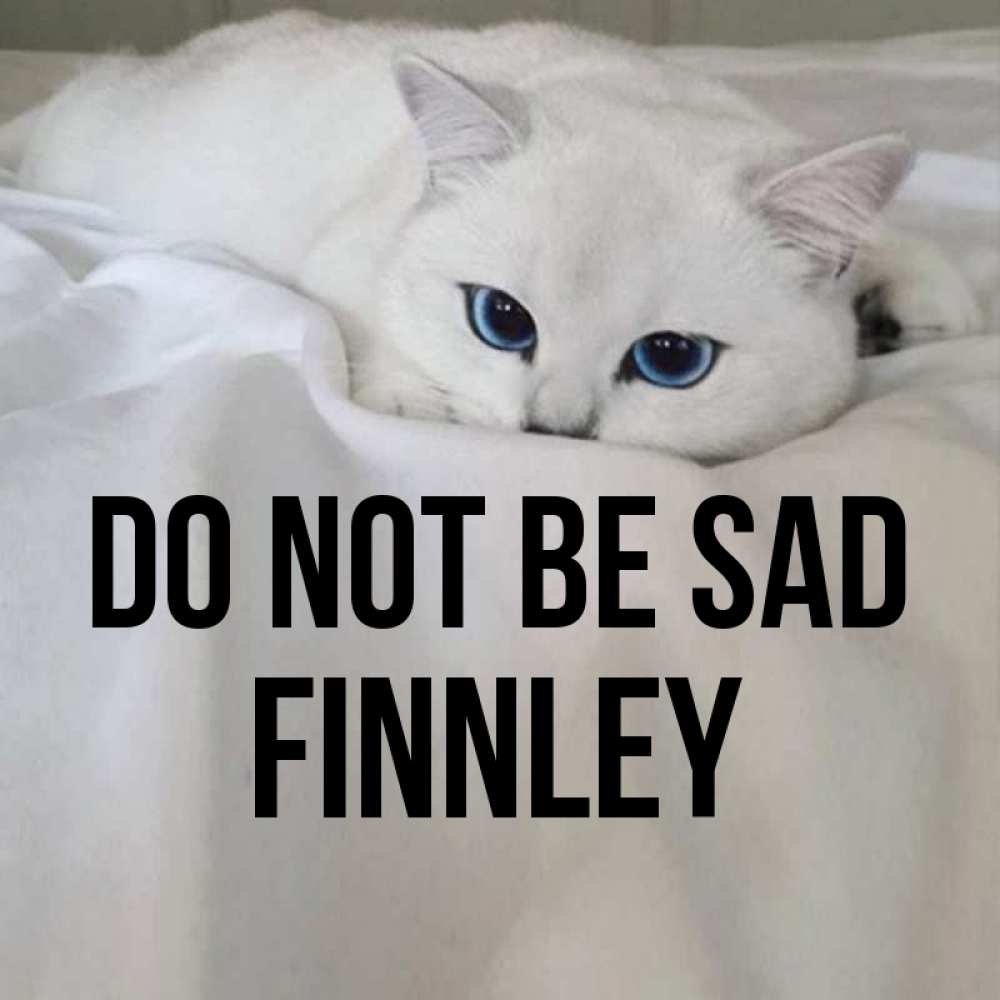 Greetings card с именем, Finnley Do not be sad Голубоглазая кошка Greetings with text for free download 