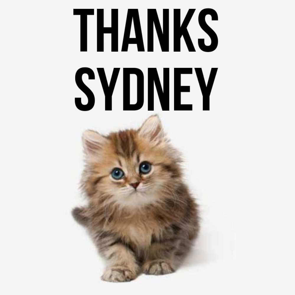 Greetings card с именем, Sydney Thanks пушистый котик Greetings with text for free download 