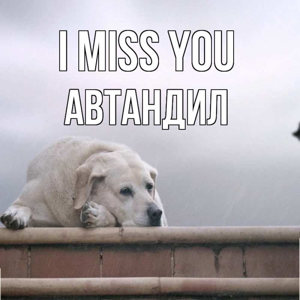 Greetings card с именем, Автандил I miss you ждет Greetings with text for free download 