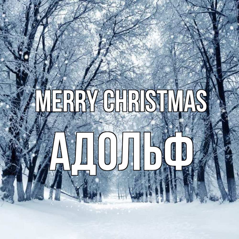 Greetings card с именем, Адольф Merry Christmas снег, лес, парк Greetings with text for free download 