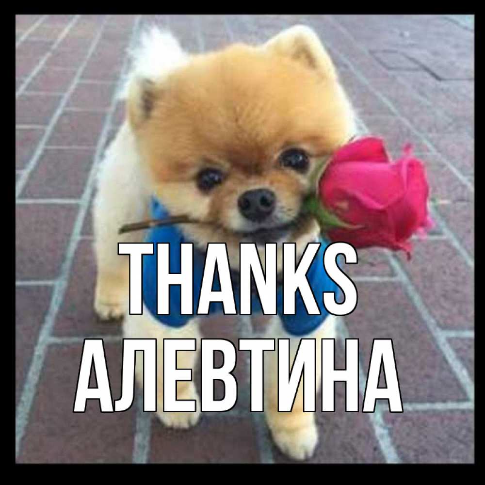 Greetings card с именем, Алевтина Thanks спасибо и дарю тебе цветок Greetings with text for free download 