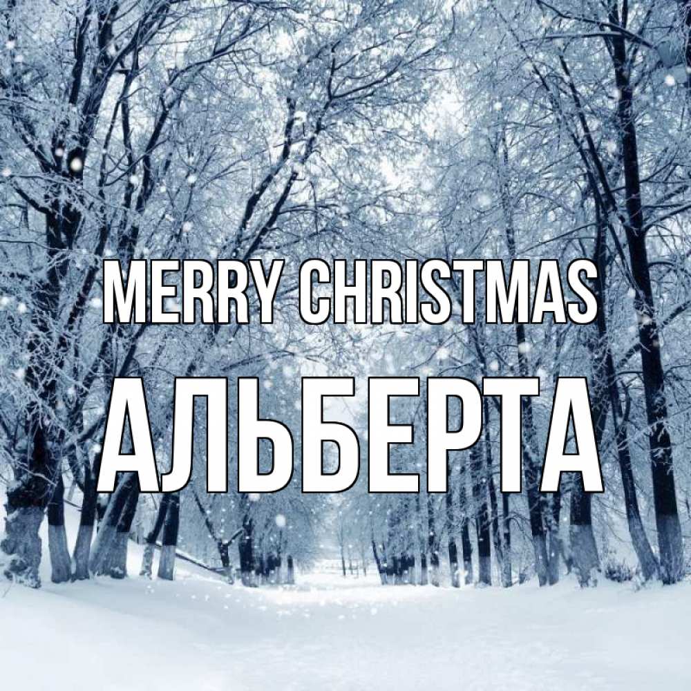 Greetings card с именем, Альберта Merry Christmas снег, лес, парк Greetings with text for free download 