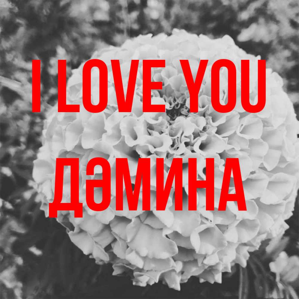 Greetings card с именем, ДӘМИНА I love you подпись Greetings with text for free download 