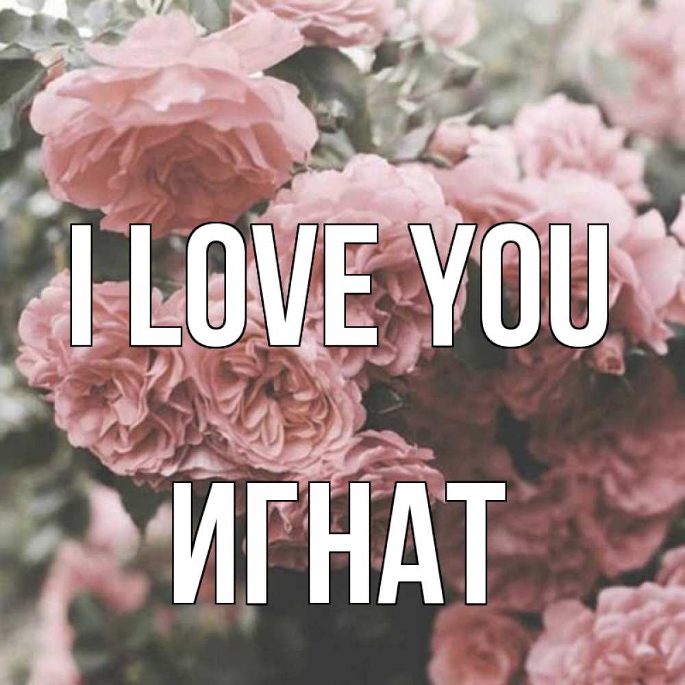 Greetings card с именем, Игнат I love you розы 3 Greetings with text for free download 