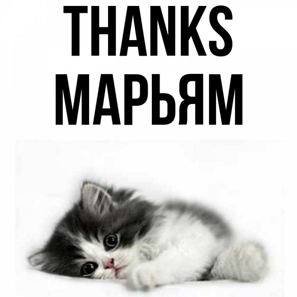 Greetings card с именем, Марьям Thanks черный и белый кот Greetings with text for free download 