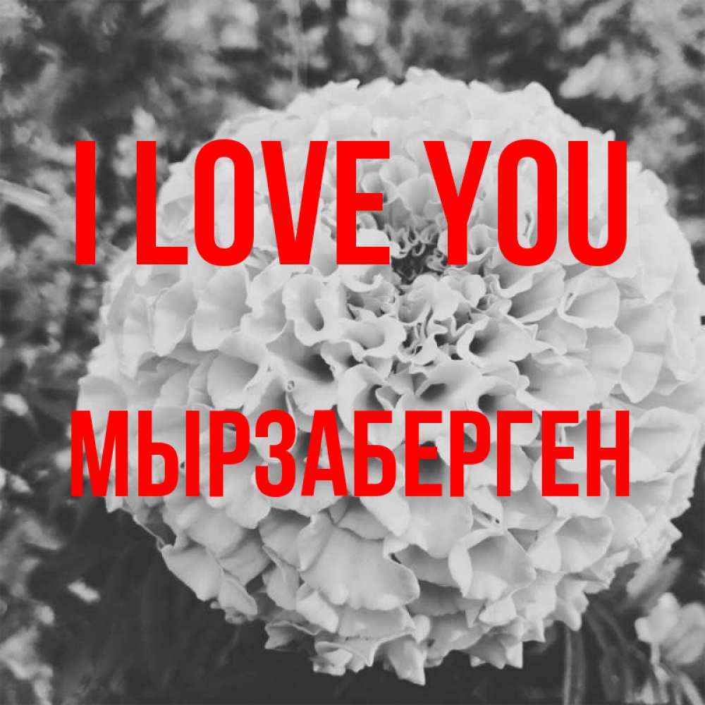 Greetings card с именем, Мырзаберген I love you подпись Greetings with text for free download 