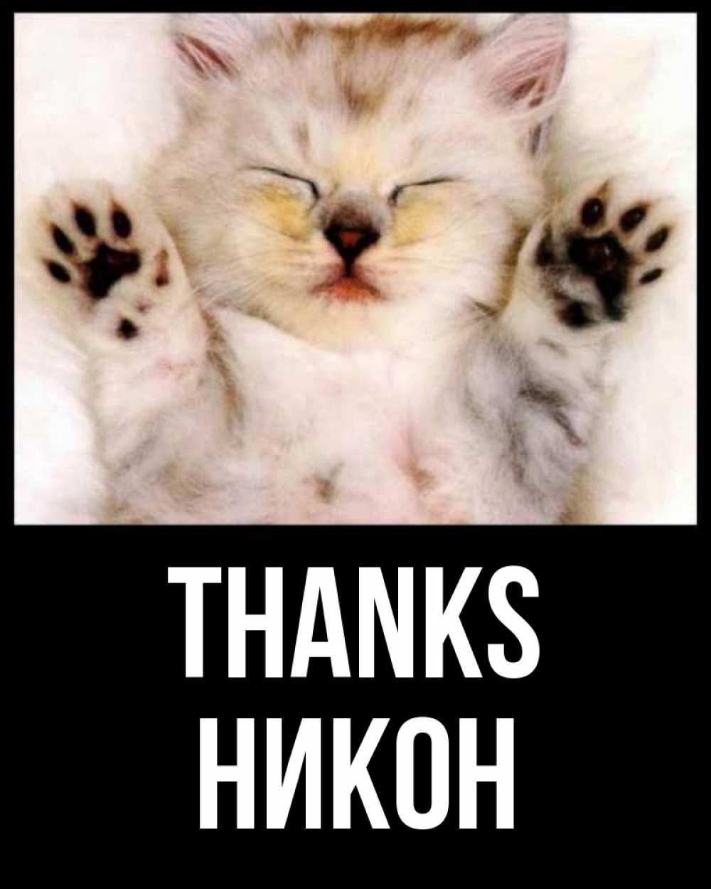 Greetings card с именем, Никон Thanks маленький котенок Greetings with text for free download 
