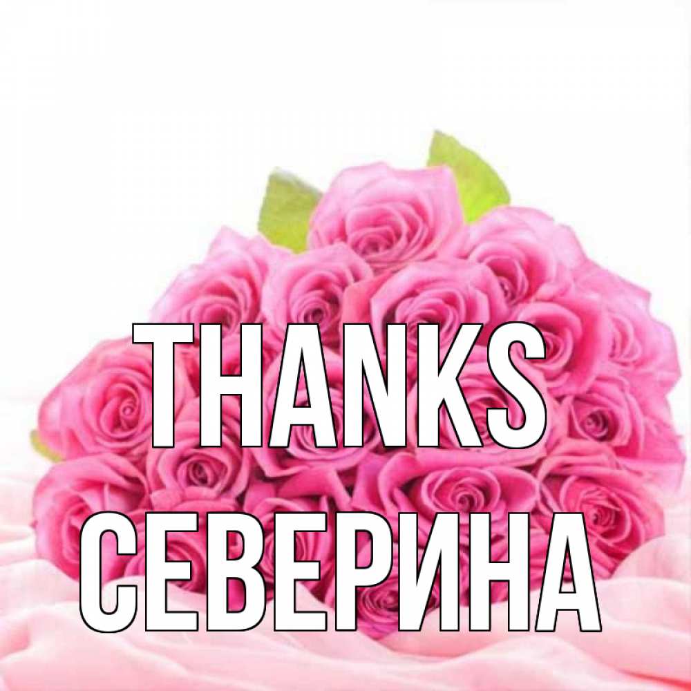 Greetings card с именем, Северина Thanks розовые розы с подписью Greetings with text for free download 