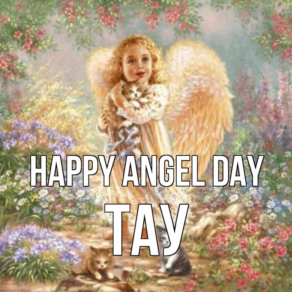 Greetings card с именем, ТАУ happy angel day держит котенка Greetings with text for free download 