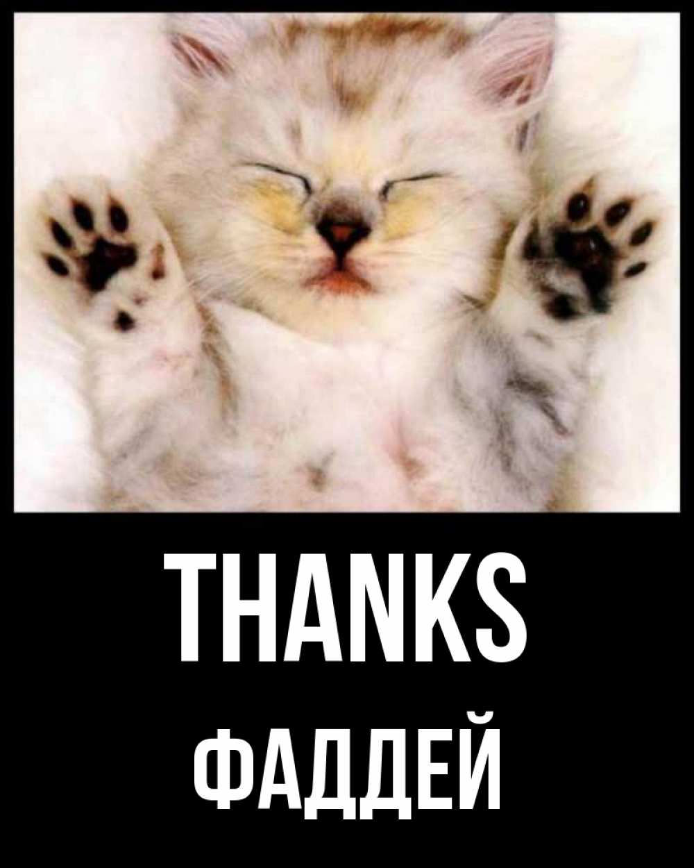 Greetings card с именем, Фаддей Thanks маленький котенок Greetings with text for free download 