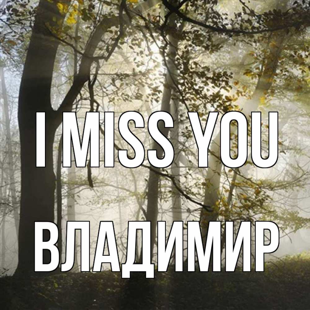 Greetings card с именем, Владимир I miss you грустно Greetings with text for free download 