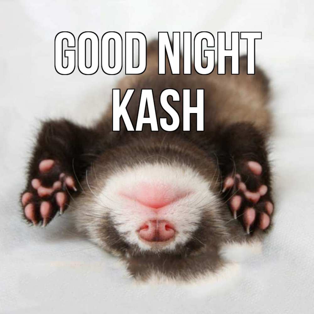 Greetings card с именем, Kash Good night зверек Greetings with text for free download 