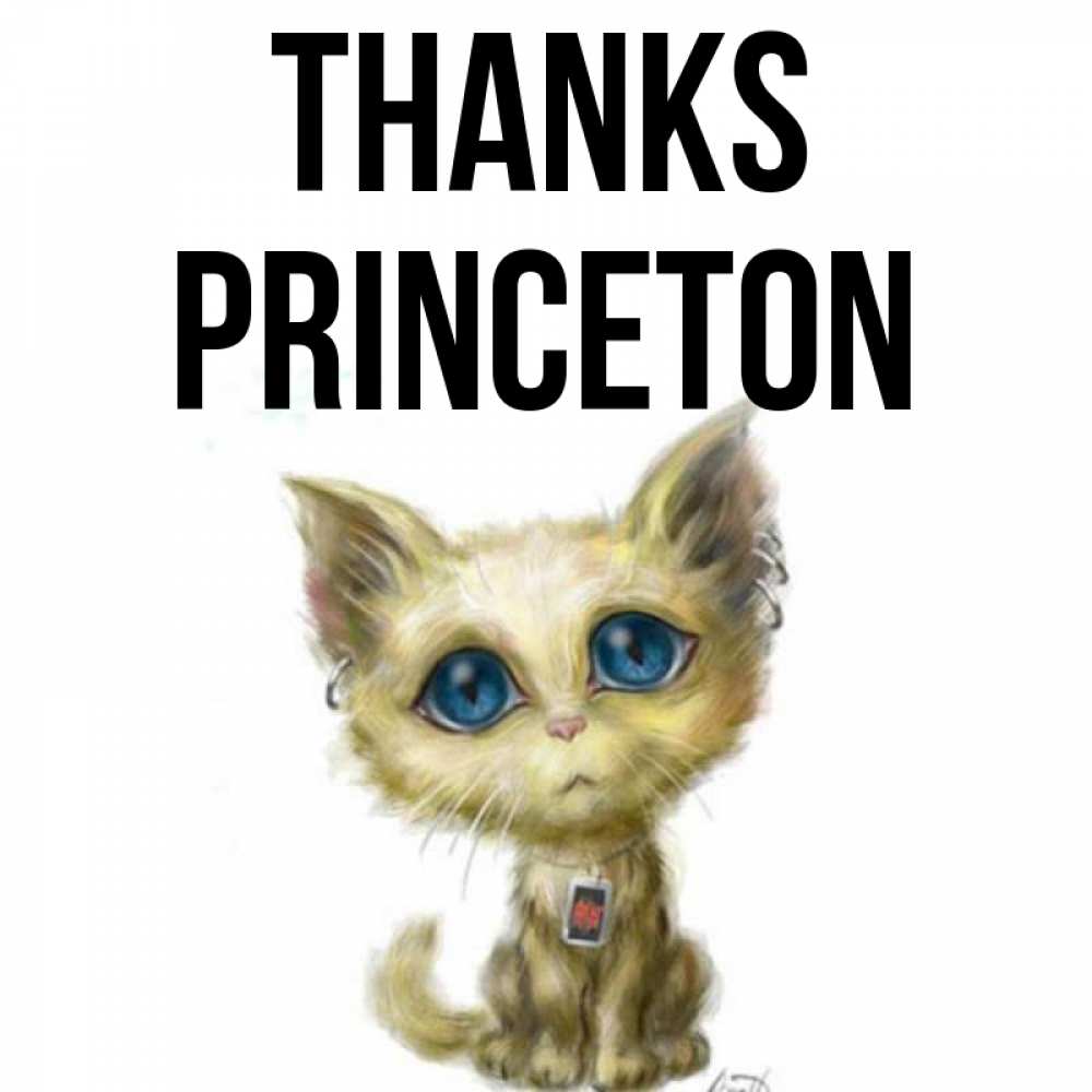 Greetings card с именем, Princeton Thanks рисованный кот благодарит вас Greetings with text for free download 