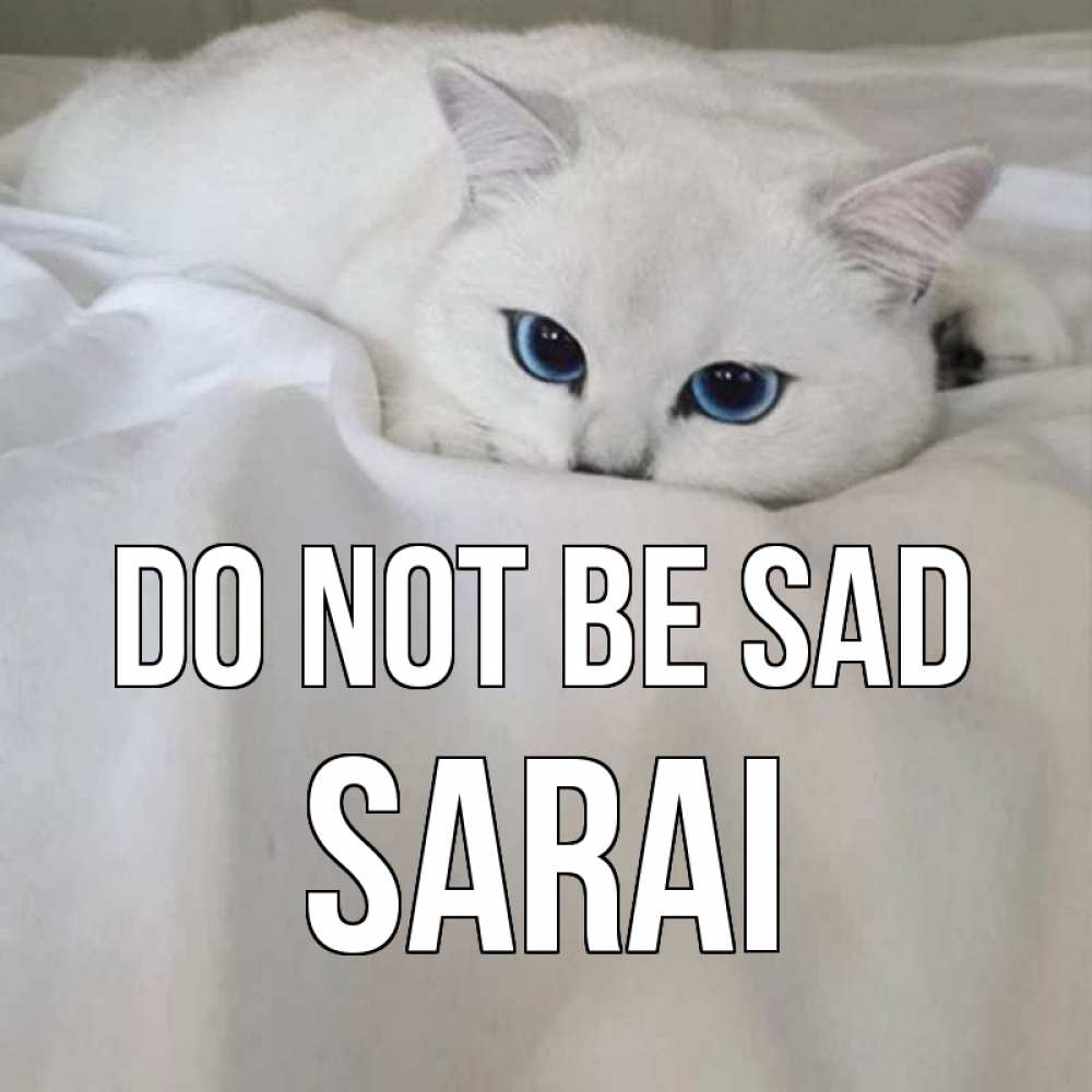 Greetings card с именем, Sarai Do not be sad белый кот с голубыми глазами на белоснежной кровати Greetings with text for free download 