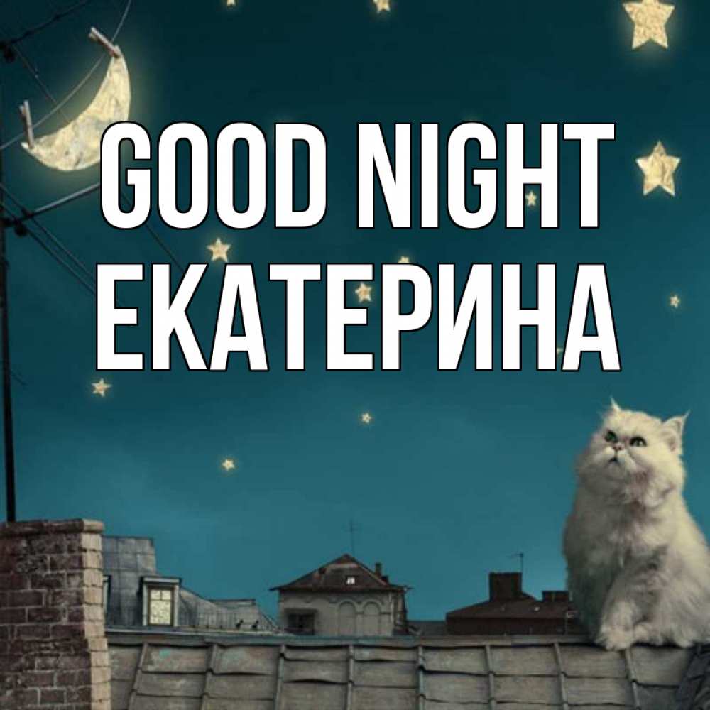Greetings card с именем, Екатерина Good night белый кот сидит на крыше Greetings with text for free download 