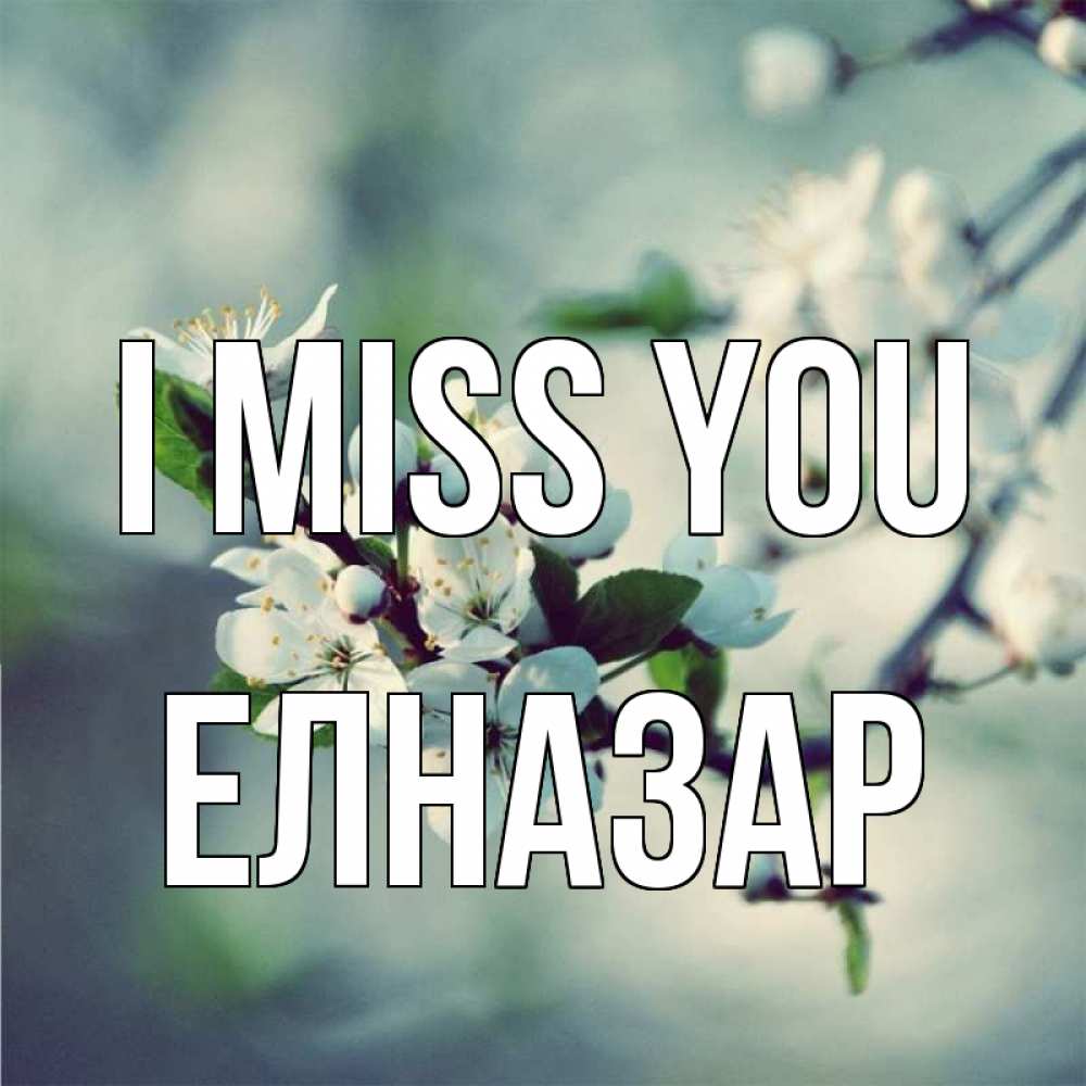 Greetings card с именем, Елназар I miss you весна Greetings with text for free download 