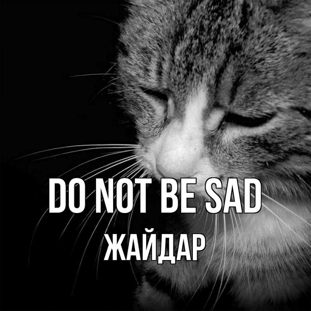 Greetings card с именем, Жайдар Do not be sad грустный котик Greetings with text for free download 