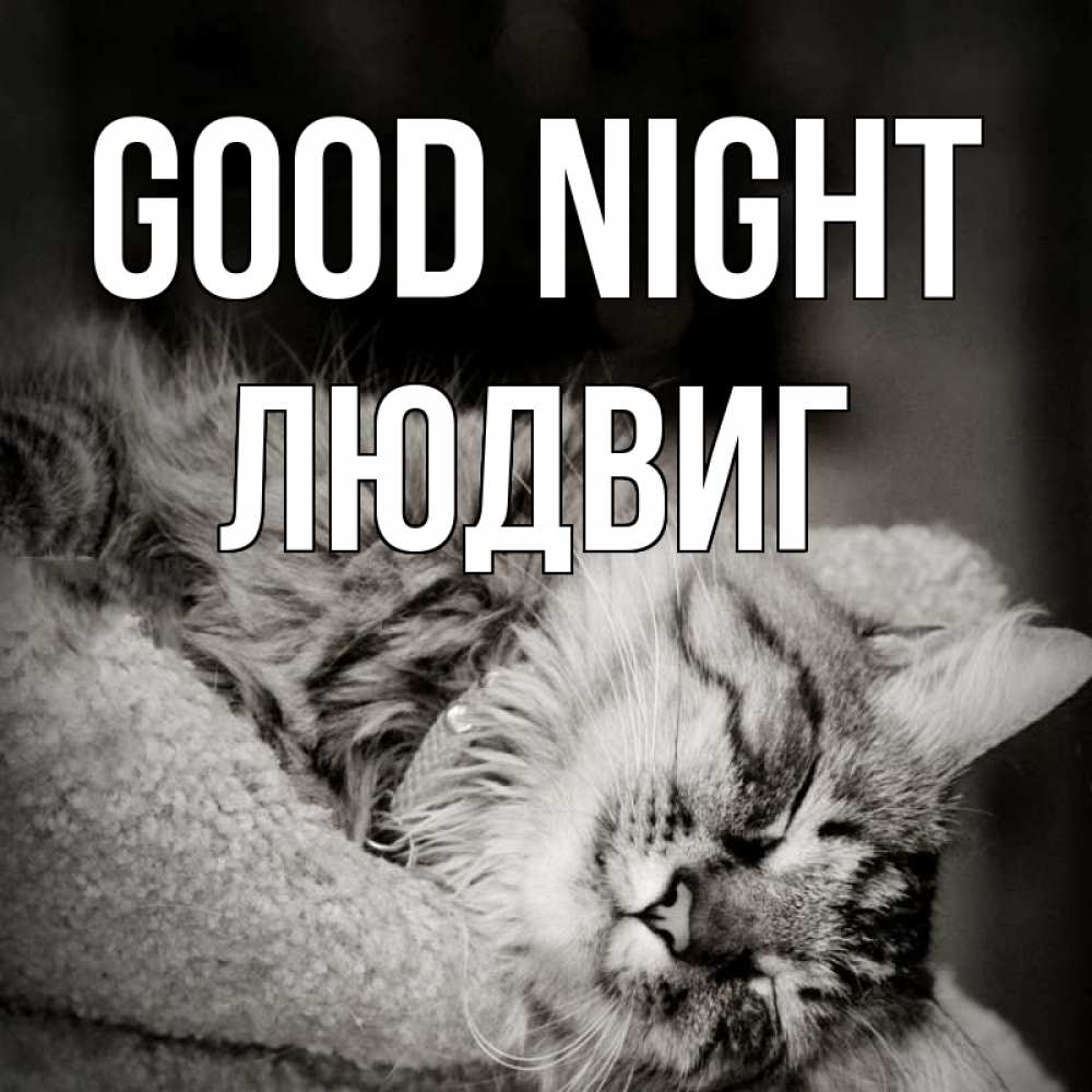 Greetings card с именем, Людвиг Good night котярик пушистый Greetings with text for free download 