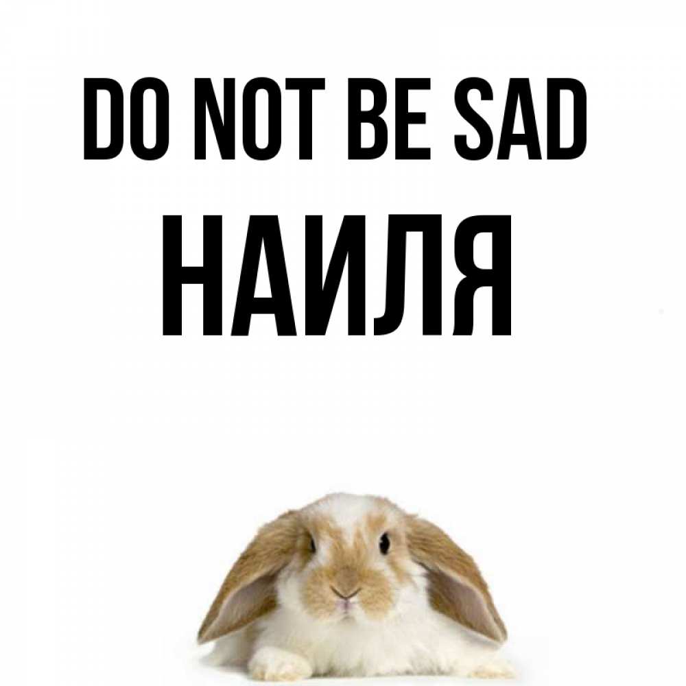 Greetings card с именем, Наиля Do not be sad коричнево белый заяц с большими ушками Greetings with text for free download 