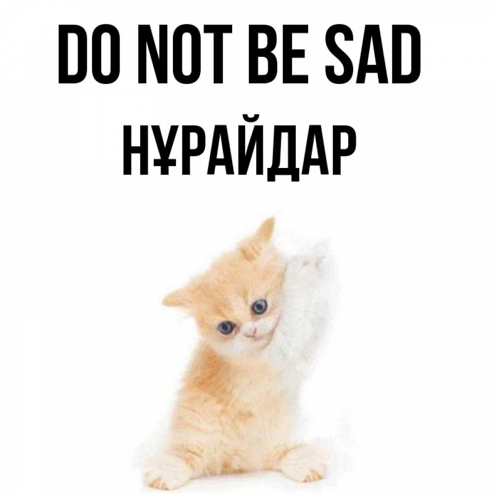 Greetings card с именем, НҰРАЙДАР Do not be sad просящий кот Greetings with text for free download 