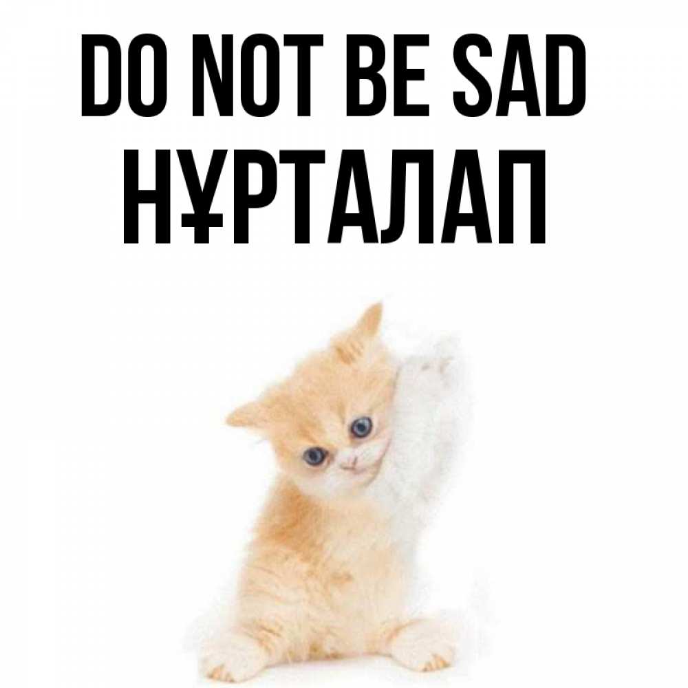 Greetings card с именем, НҰРТАЛАП Do not be sad просящий кот Greetings with text for free download 