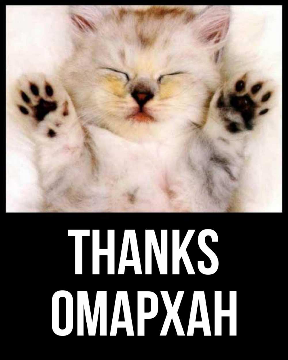 Greetings card с именем, ОМАРХАН Thanks маленький котенок Greetings with text for free download 