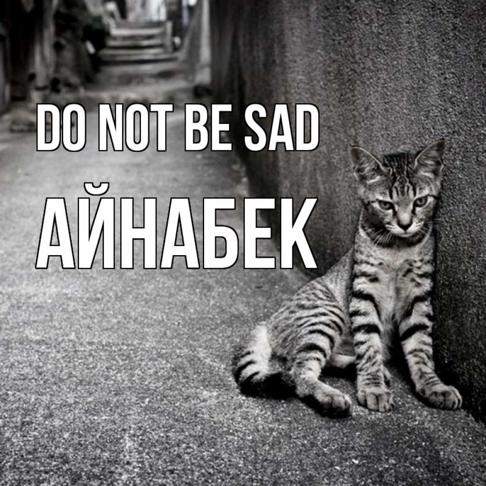 Greetings card с именем, Айнабек Do not be sad скучающий котик Greetings with text for free download 